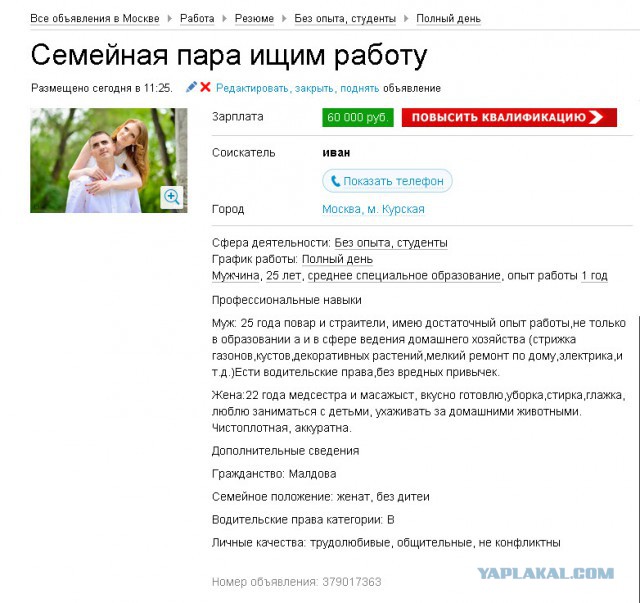 Профессионалы в поисках трудоустройства