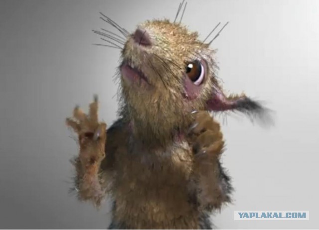 Беличий король или история спасения белок