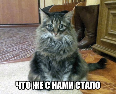 Саша Грей, с днюхой.