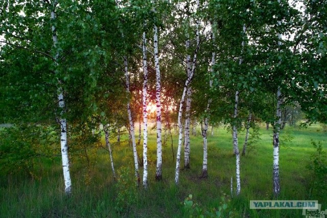 Россия в фотографиях, первая половина 2012