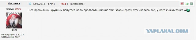 Продам попугая