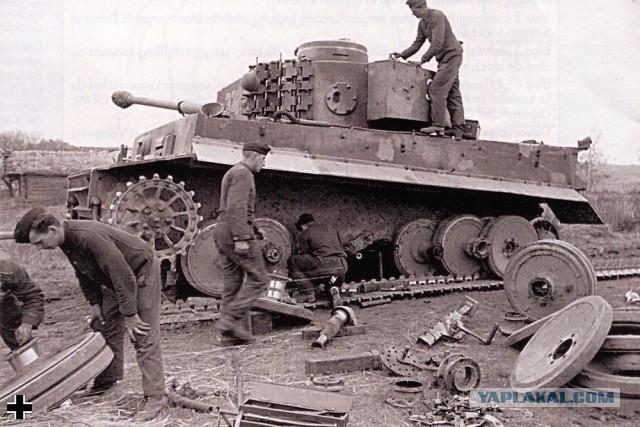 Wargaming 29