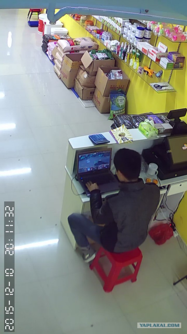 За что я люблю китайцев