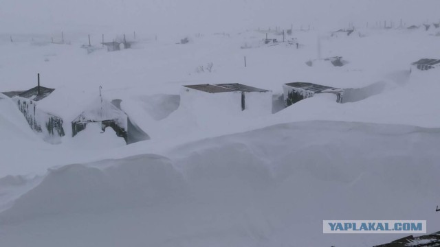 Новый год у всех, кроме жителей Беринговского.