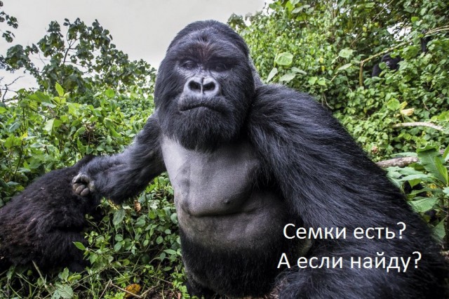 Подборка картинок 29.02.16