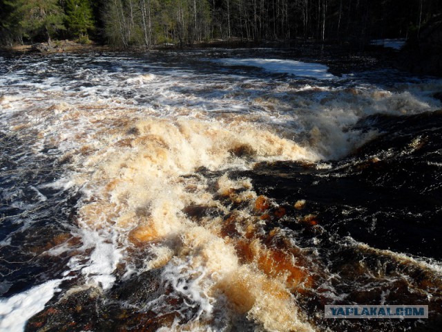 Река Уксунйоки (Укса). Карелия. Сплав по большой воде. Фотоотчет