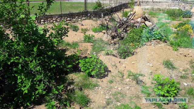 Подборка интересных и веселых фото