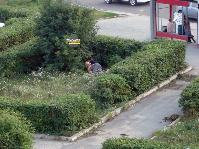 Секс в публичном месте