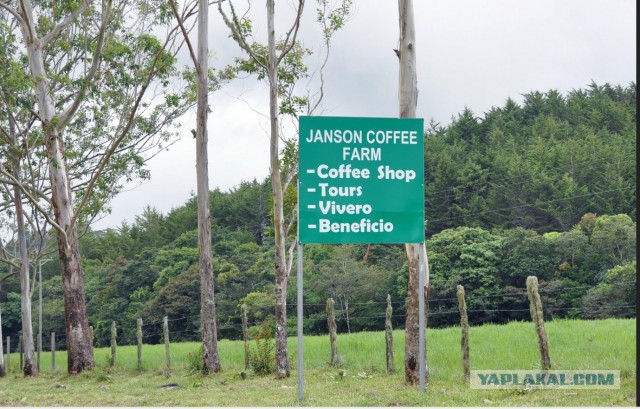 Исчезновение и трагическая гибель Лисанн Фрон и Крис Кремерс