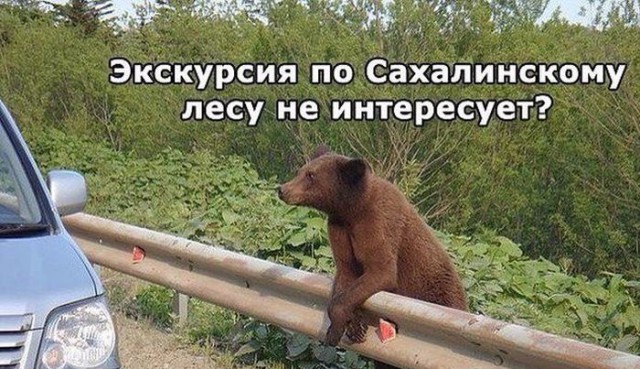 Как видят русских иностранцы