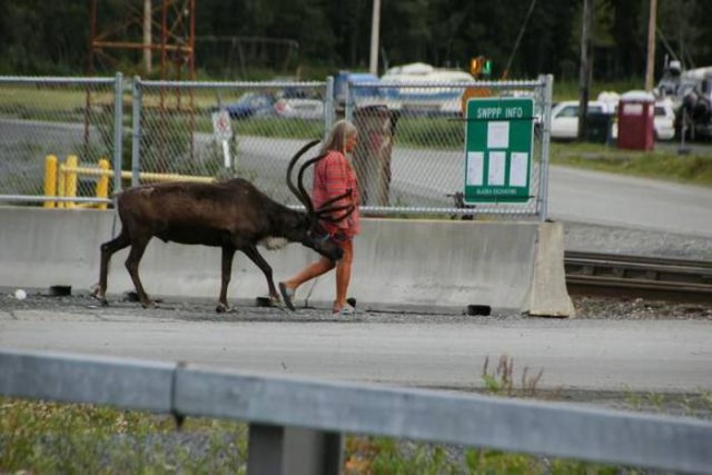 Подборка интересных и веселых фото