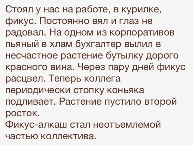 Подборка интересных и веселых картинок