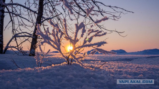 А давайте делиться красивыми закатами
