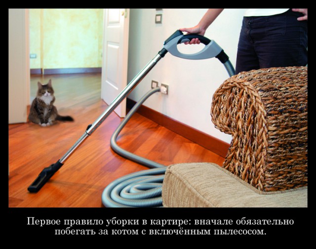 Картинок разных