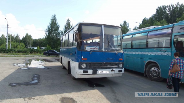 Ikarus 55 Lux "Сигара". Восставший красавчик