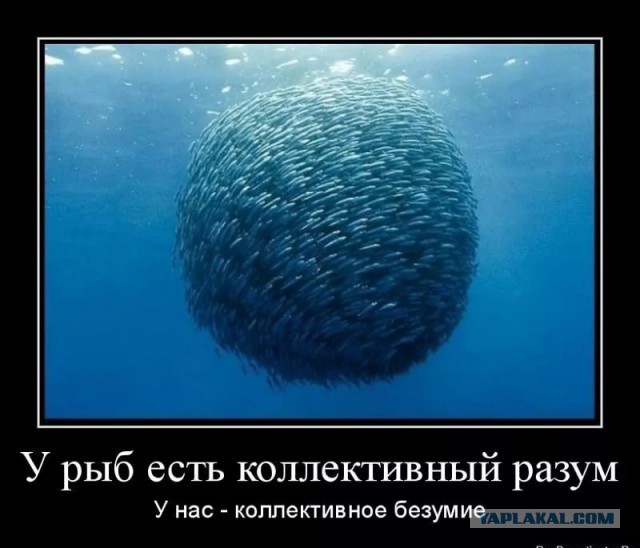 Почему врачи выписывают дорогие лекарства ?