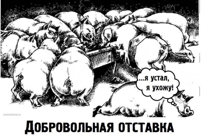 «Голосовал за Путина. Я один чувствую себя обманутым?»