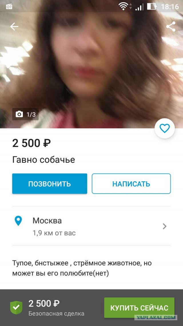 Авито: продастся всё!