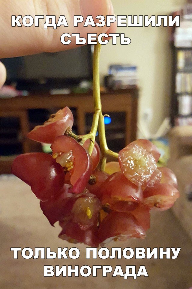 Немного веселых картинок из этих наших интернетов