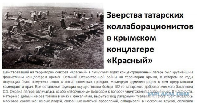 Массовая драка со стрельбой и поножовщиной между татарами и чеченцами произошла на АЗС в Симферополе
