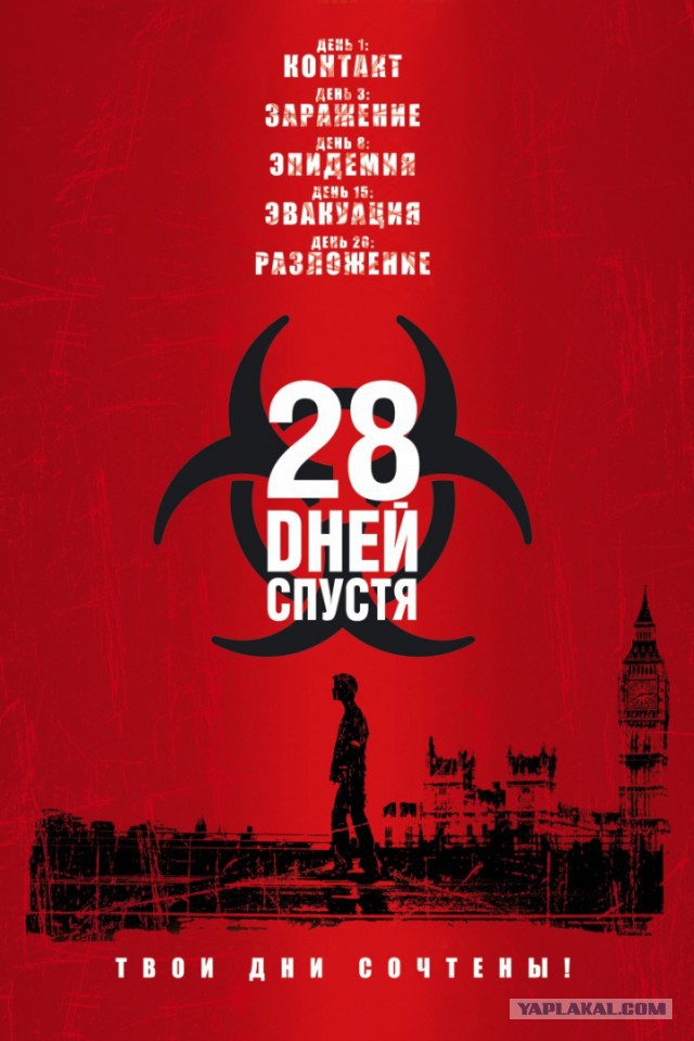 28 дней без секса. Как меняется организм.