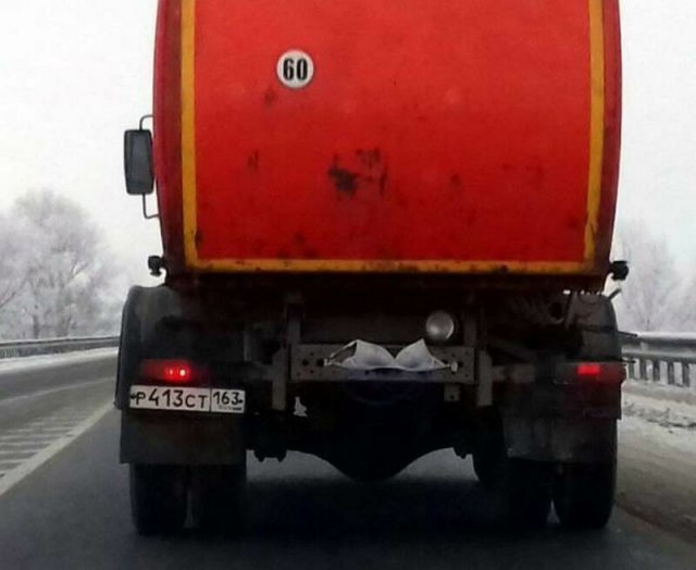 И всё-таки она наша. Лента картинок