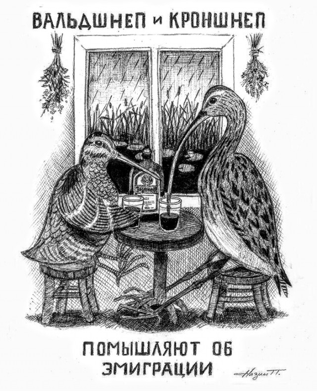 Анекдоты, истории и картинки с надписями