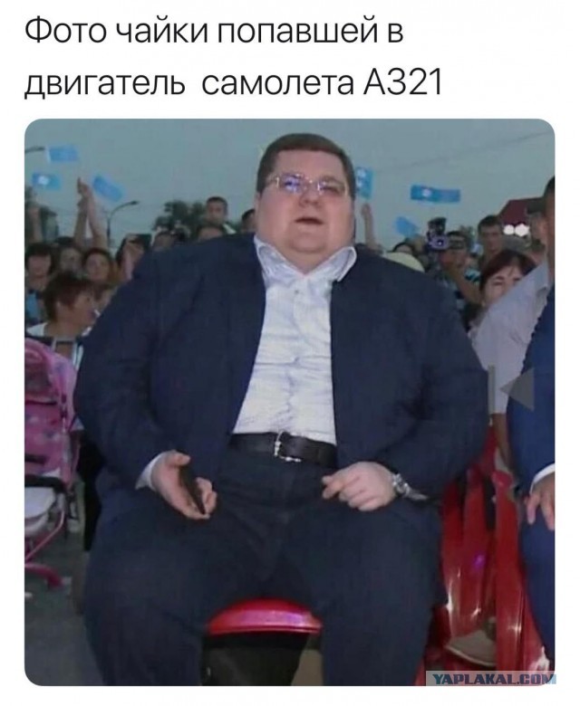 Опять подсобирал картинок к пятнице