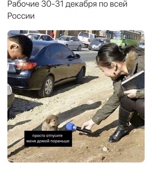 Немного картинок для настроения. Новогодний выпуск