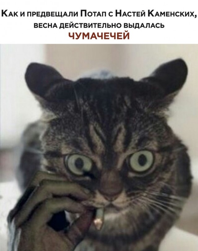 Чуток картинок. Ночные 5