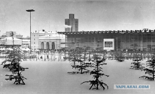 «До 6 мая может наступить полный коллапс»: владелец ТЦ «Атриум» о критическом положении, в котором оказались торговые центры
