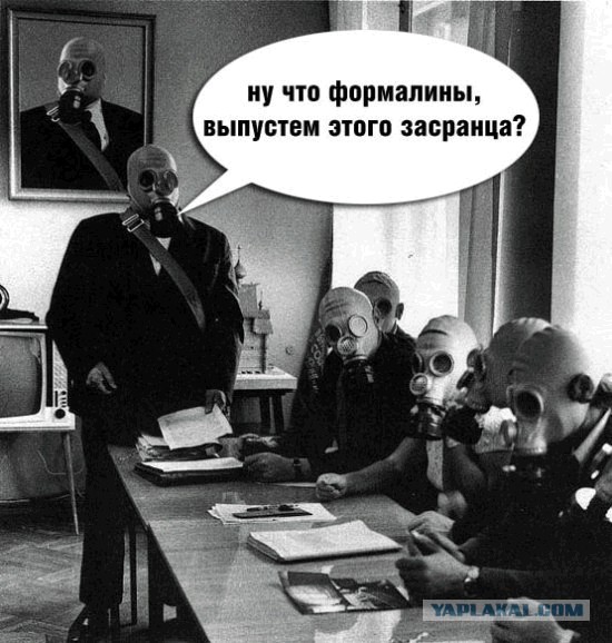 Завтра амнистия ТвердогоЗнака!