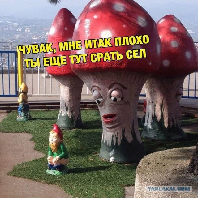 Моя подборка картинок для любимого сайта с любимого сайта