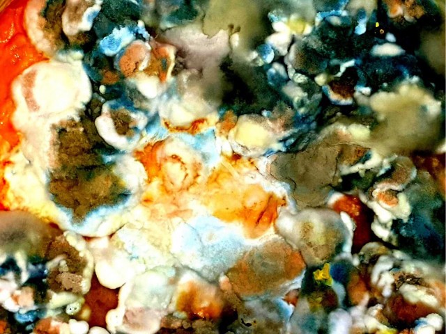 Черные яблоки и Призрачные