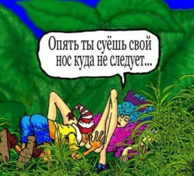 Бредзона 04.02.21