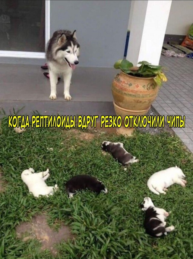 Эй вы, давно не деградировали?!