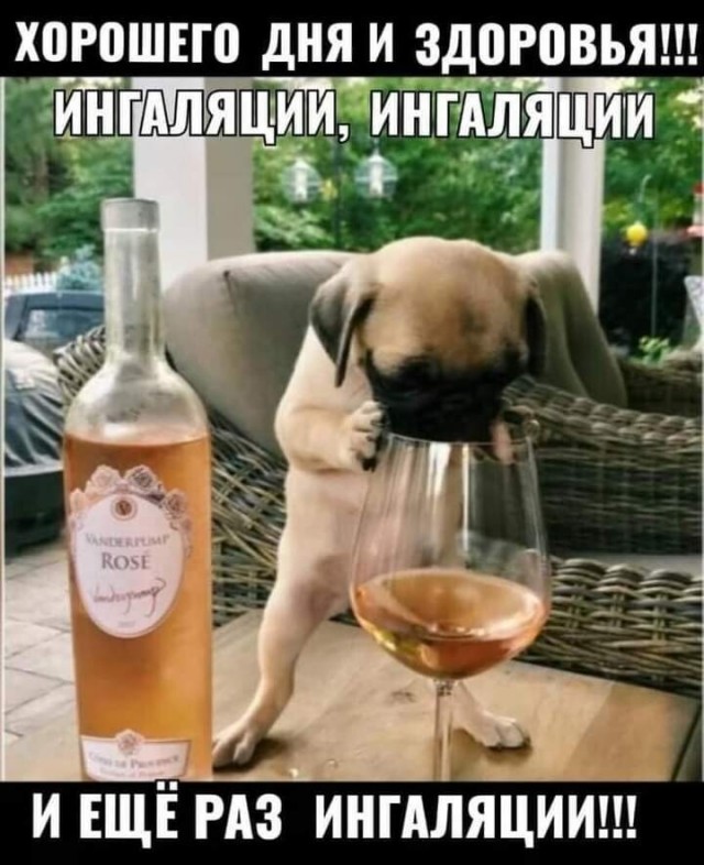 Алкопост выходного дня