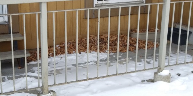 Супермаркет Walmart Канада. Ассортимент, цены