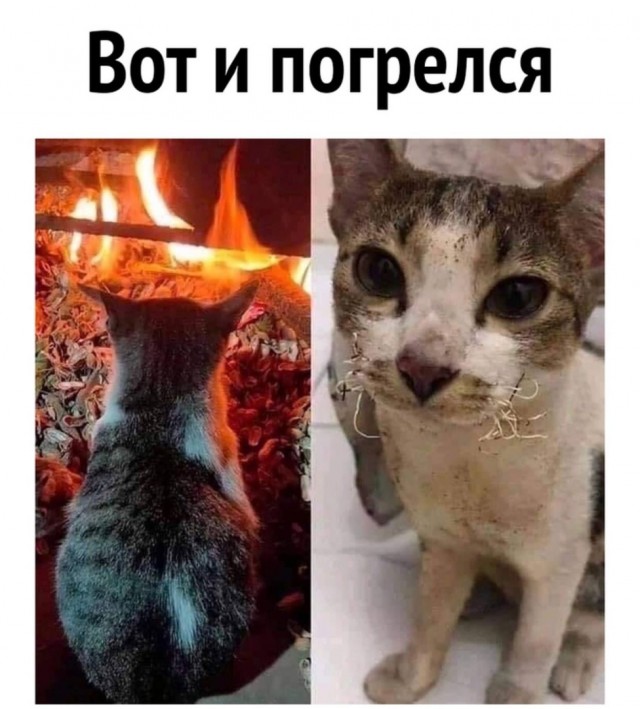 Здесь будет Петербург