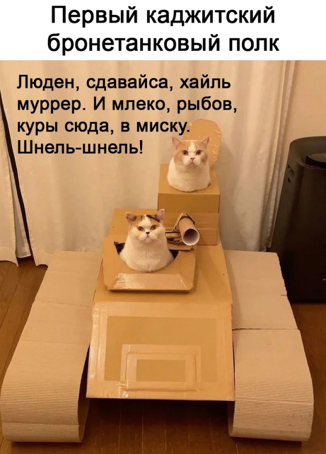 Так себе картинки 31.10.21