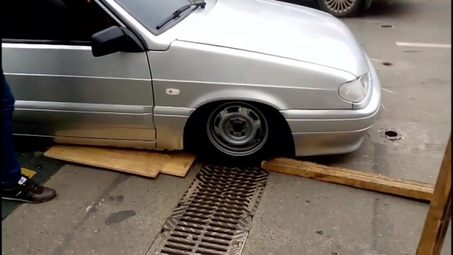 Забавный пушистик