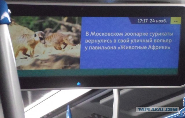 Последнее фото