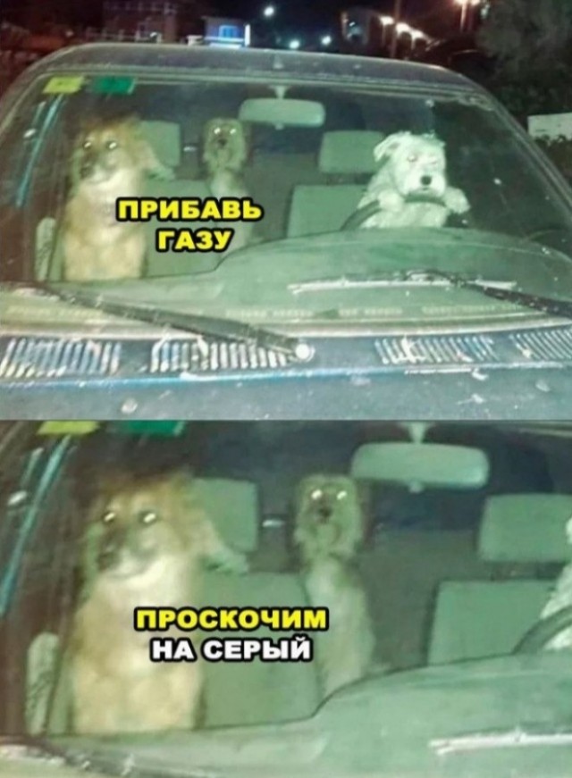 Страйк!
