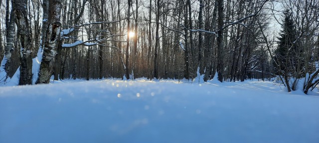 Фото с телефона