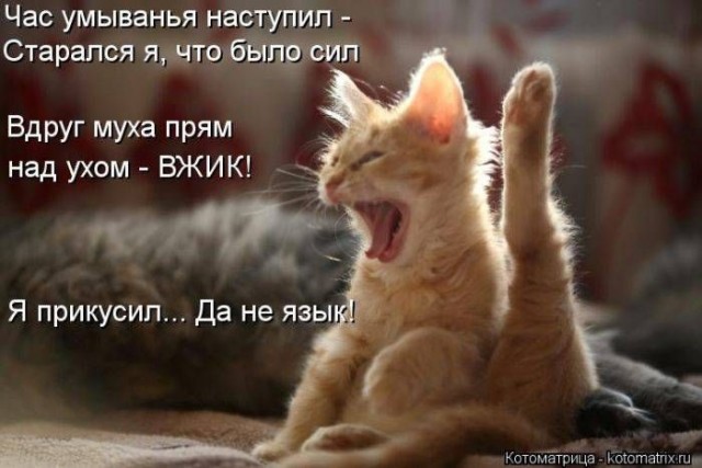 Баянисто-небаянистый юмор 28.03.22