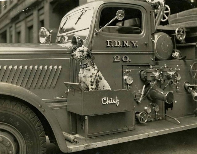Картинки разные 29.03.2022