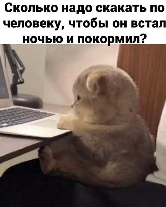 Так себе картинки 15.04.22