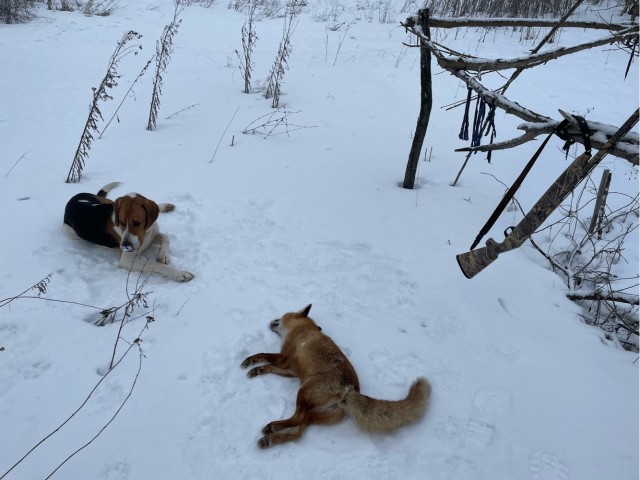 А что, уже вторник?