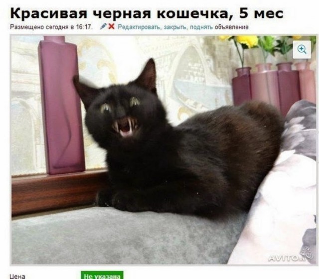 50 оттенков серого Vol.5 . Или самосвал баянов