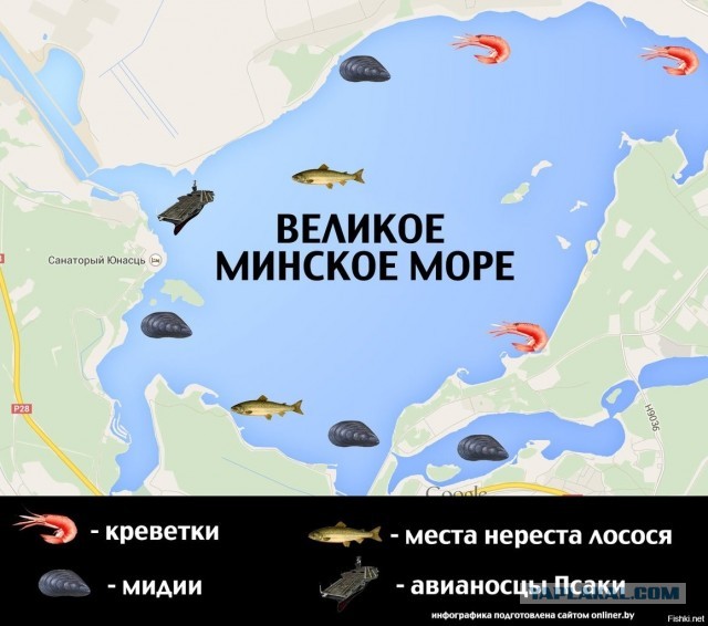 Белорусская компания «Санта Бремор» приостановила поставки в Россию сёмги под брендом «Русское море»